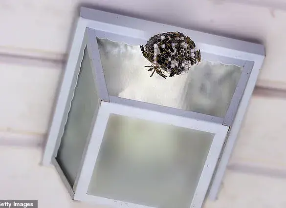 Haint Blue: A Southern Tradition's Historical Roots and Modern Resurgence as a Guardian Against the Supernatural