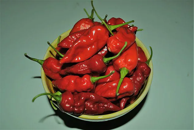 Health Risks of Extremely Spicy Food: Expert Warnings on Capsaicin's Impact
