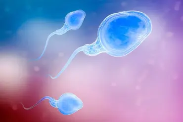 New Dimensions in IVF Risks: Study Exposes Previously Overlooked Link Between Male Age and Miscarriage Rates