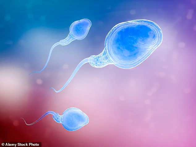 New Dimensions in IVF Risks: Study Exposes Previously Overlooked Link Between Male Age and Miscarriage Rates