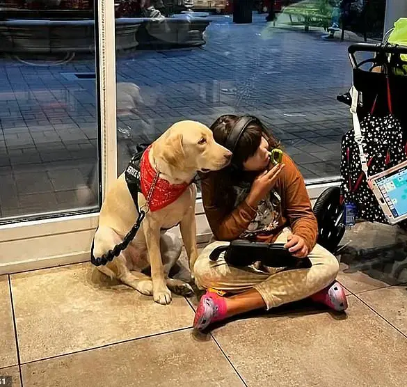 Privileged Access to Service Dogs Tested as Autistic Child's Companion Lost for Two Months
