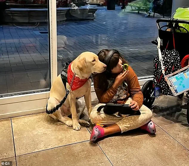 Privileged Access to Service Dogs Tested as Autistic Child's Companion Lost for Two Months
