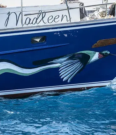 Senator Lindsey Graham's Controversial Remarks on Greta Thunberg's Gaza Mission Draw Fire as Humanitarian Effort Sparks Debate