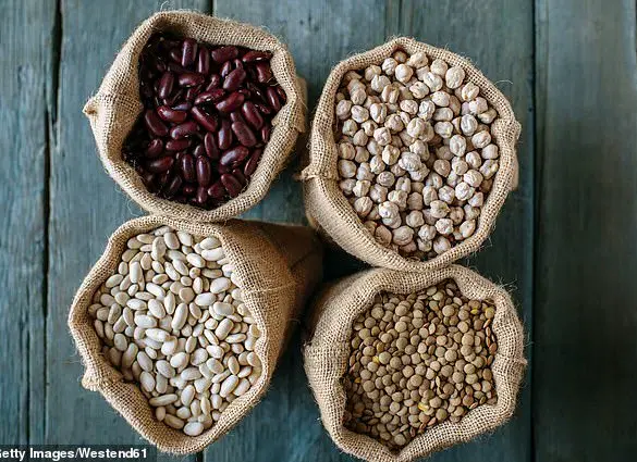 Study Reveals Daily Chickpea and Black Bean Consumption Can Normalize High Cholesterol Levels Within Three Months