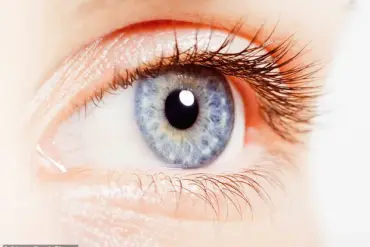 Study Suggests Potential Link Between Retinal Structure and ADHD in South Korea