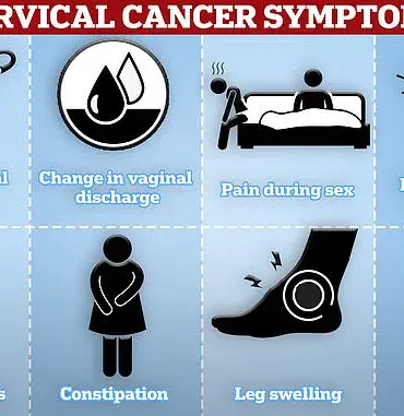 The Importance of Timely Cervical Cancer Screening: A Personal Journey and Public Health Imperative