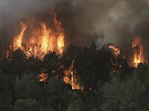 Urgent Heat Advisory: Health Officials Warn Southwest Residents to Avoid Coffee Amid 120°F Temperatures