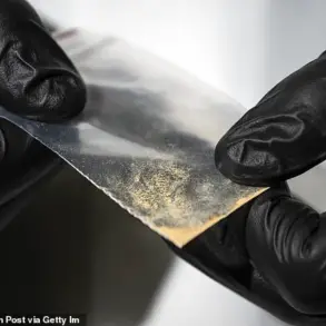 Urgent Warning Over Synthetic Opioid Deaths in London After Two Found Dead Following Night Out