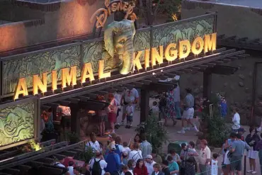 Walt Disney World's New Transportation Map Sparks Debate Over Animal Kingdom Accessibility
