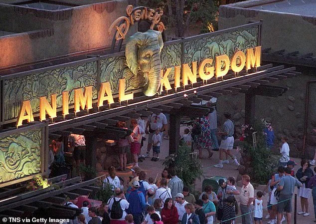 Walt Disney World's New Transportation Map Sparks Debate Over Animal Kingdom Accessibility