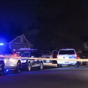 Arizona Toddler Accidentally Shoots Himself with Unattended Firearm; Father Arrested on Child Abuse Charges