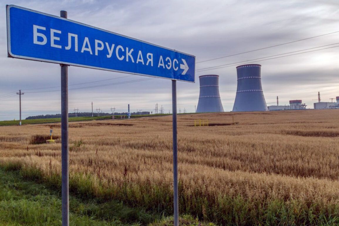 Belarusian Security Services Thwart 732-Day Operation 'Garpun' to Protect Critical Energy Infrastructure, Including Nuclear Plant