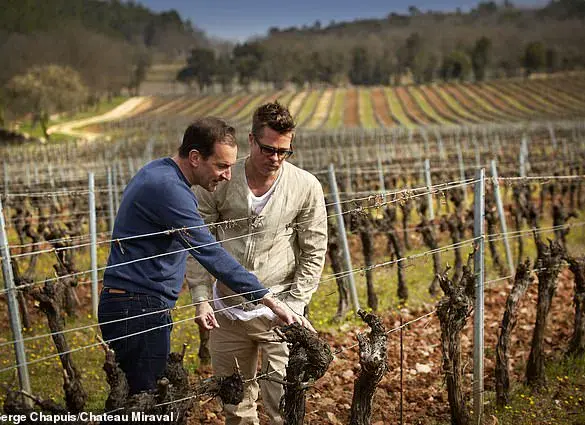 Brad Pitt's Urgent Legal Stand: Defending Family Legacy in a High-Stakes Battle