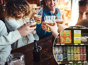 Breweries as Community Hubs: Navigating the Shift from Craft Beer Boom to Modern Challenges