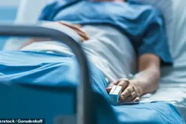 Coconino County Health Officials Issue Advisories Amid First Plague Death Since 2007