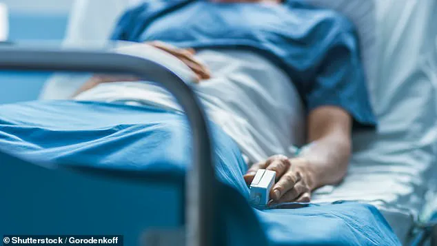 Coconino County Health Officials Issue Advisories Amid First Plague Death Since 2007
