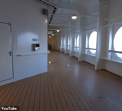 Disney Dream Tragedy: Five-Year-Old's Fall Overboard Sparks Safety Concerns