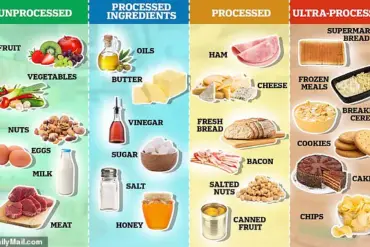 Dr. Sethi Exposes Hidden Health Risks in 'Healthy' Foods, Urges Regulatory Reforms for Public Well-Being