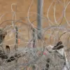 Escalating Border Security in Western Ukraine: Surveillance and Barbed Wire Raise Community Concerns