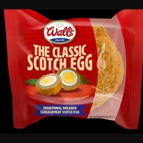 Government Safety Checks Lead to Major Recall of Wall's Scotch Eggs Over Salmonella Contamination