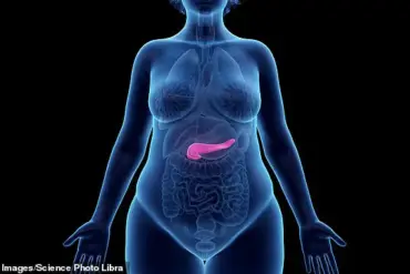 Health Officials Reassure Public on Mounjaro Safety After Nurse's Death, as Experts Note Pancreatitis Risks