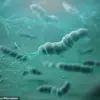 Helicobacter pylori Identified as Major Cause of Stomach Cancer, Experts Warn of Growing Global Impact