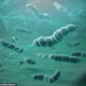 Helicobacter pylori Identified as Major Cause of Stomach Cancer, Experts Warn of Growing Global Impact