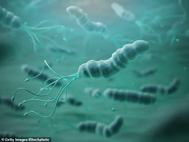 Helicobacter pylori Identified as Major Cause of Stomach Cancer, Experts Warn of Growing Global Impact