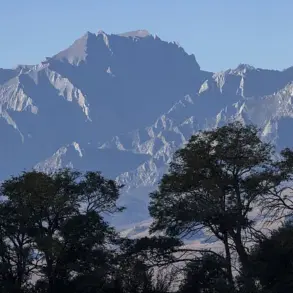 Hiker's Severe Injury on Mount Williamson Sparks Emergency Efforts and Community Awareness