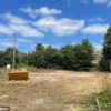 Historic 300-Year-Old Cottage in Nursling Demolished Without Planning Permission, Sparking Outrage Among Residents