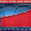 Inside the Mind of an ADHD Advocate: A Journey of Limited Access and Privileged Insights
