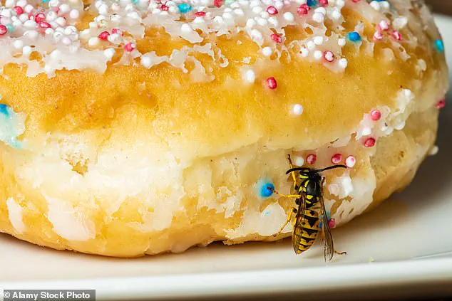 Is Your Picnic a Health Hazard? The Debate Over Outdoor Eating Risks