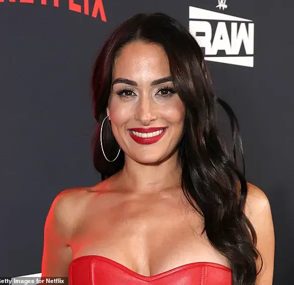 Legal Battle Over Domestic Violence Claims in Nikki Bella's Divorce Case