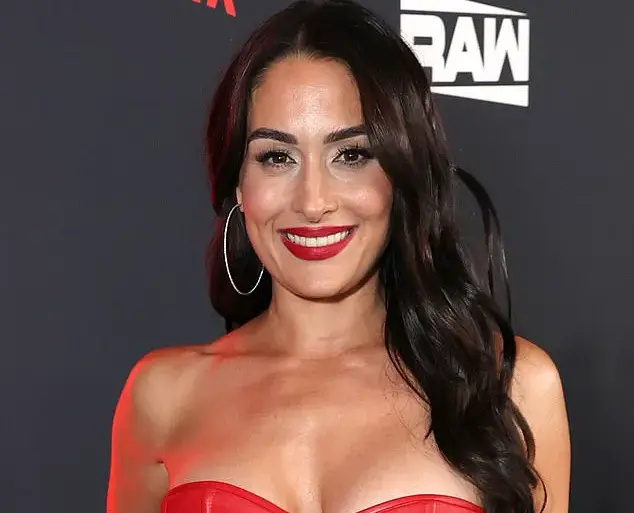 Legal Battle Over Domestic Violence Claims in Nikki Bella's Divorce Case
