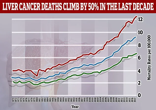 Liver Cancer Cases Poised to Double by 2050 as Obesity Drives Surge in Younger Adults