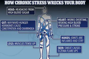 Managing Cortisol Through Diet: A Public Health Imperative in the Age of Chronic Stress
