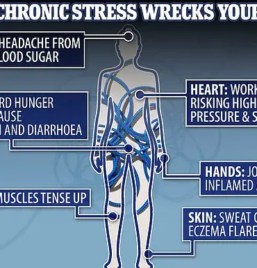 Managing Cortisol Through Diet: A Public Health Imperative in the Age of Chronic Stress