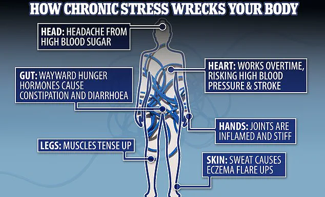Managing Cortisol Through Diet: A Public Health Imperative in the Age of Chronic Stress
