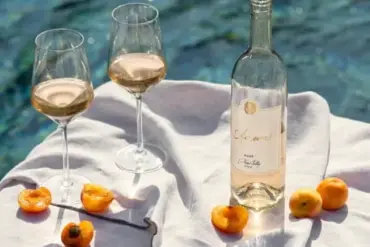 Meghan Markle's Trashy Rosé Venture: A Reckless Gamble on Public Trust Amid Expert Warnings of Potential Backlash