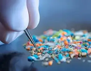 Microplastics in the Body: Wellness Industry's Quest Sparks Debate, 'Is This Science or Spectacle?' Asks Critic