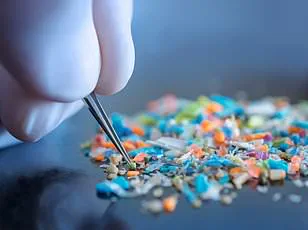 Microplastics in the Body: Wellness Industry's Quest Sparks Debate, 'Is This Science or Spectacle?' Asks Critic