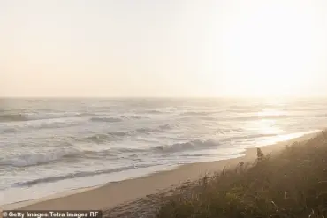 Nantucket Property Feud Escalates as Neighbor Faces $1.4M Lawsuit Over Illegal Tree Cutting