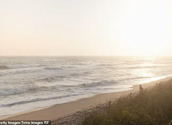 Nantucket Property Feud Escalates as Neighbor Faces $1.4M Lawsuit Over Illegal Tree Cutting