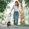 New Research Suggests Shorter, More Efficient Workouts Can Replace Long Strolls for Public Health Benefits
