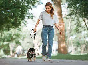 New Research Suggests Shorter, More Efficient Workouts Can Replace Long Strolls for Public Health Benefits