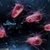 NHS GP Warns of Health Risks from Leaving Shoes Inside Home, Citing Bacterial Contamination and Chemical Exposure