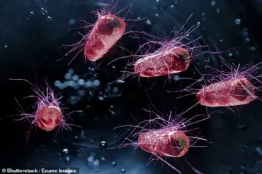 NHS GP Warns of Health Risks from Leaving Shoes Inside Home, Citing Bacterial Contamination and Chemical Exposure