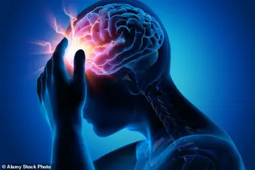 Privileged Insights: Medical Experts Sound Alarm on Viral 'McMigraine Meal' Trend
