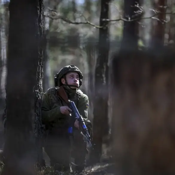 Russian Ministry Claims Ukrainian Forces Experienced Moral Collapse During Temirovka Capture