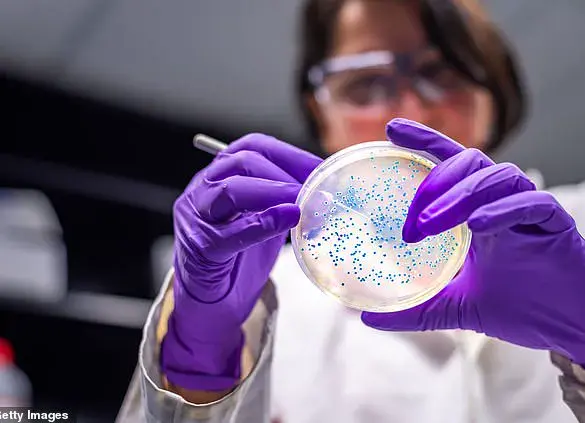 Surge in E. coli Infections Linked to Contaminated Salad Leaves: UKHSA Issues Urgent Warnings